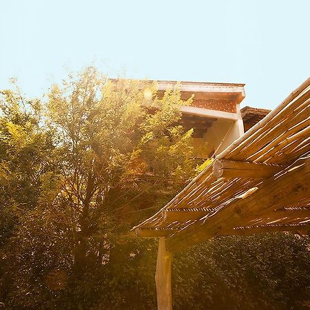 Casa Huijazoo Nature & Balance Mazunte Exterior foto